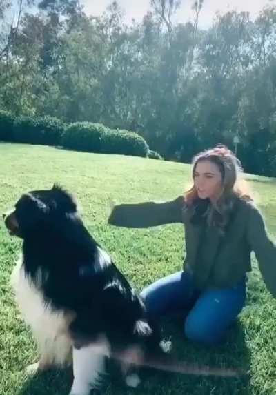 Trust fall