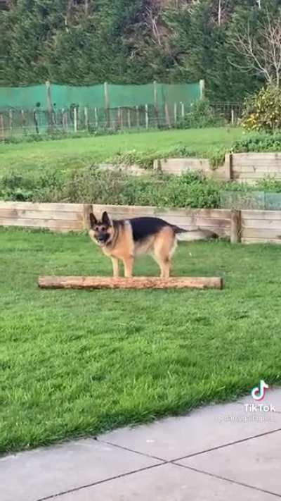 A talented boy!