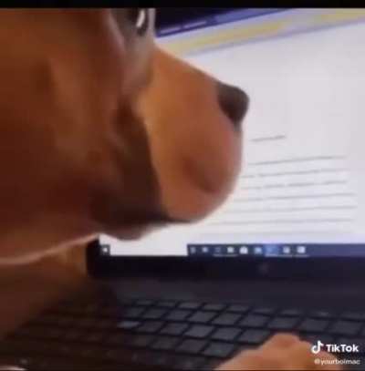 I don't think this video wasn't originally on tiktok, but that's where I found it so it counts I guess.