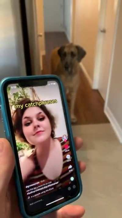 My dog feels it too
