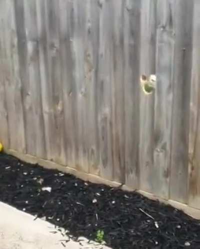 Lookout/Sniper post