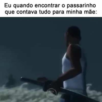 passarinho x9