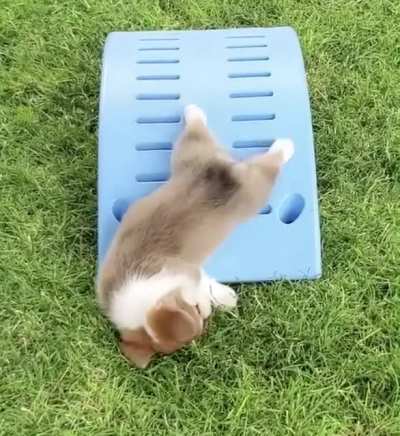 Bit of a lazy day