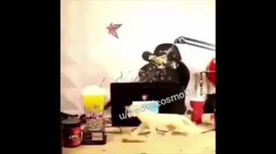 S&oacute; vejam isso .