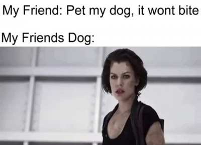What kind of doggo is that?