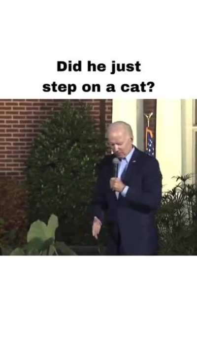moldy biden