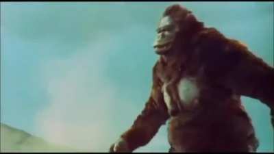 Godzilla vs.Kong