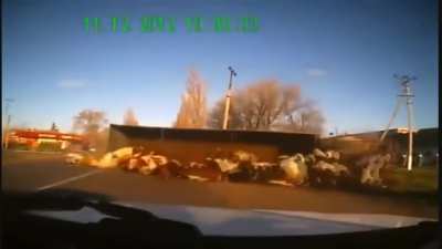 I have loved dash cams ever since 11.12.2012