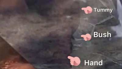 Aki&rsquo;s Bush/Pussy Slip Enhanced 📸🌳😻