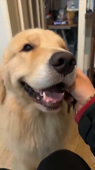 Aaooo.......