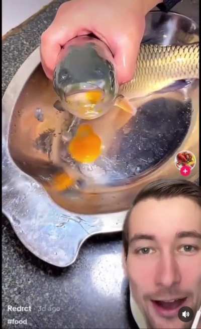 Yolk