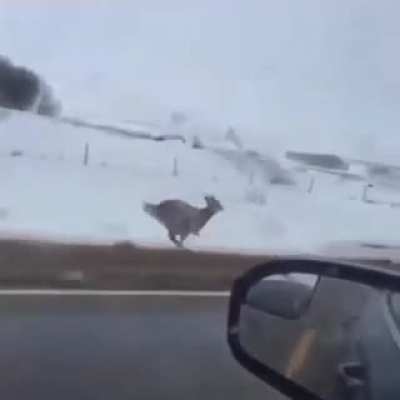 Do a flip