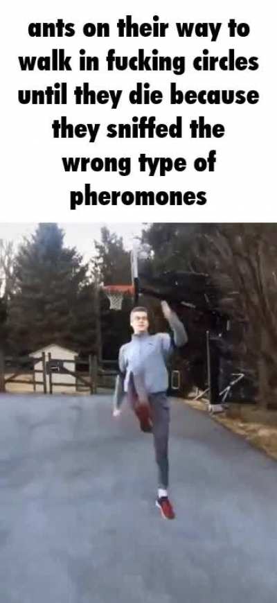 le epic rule
