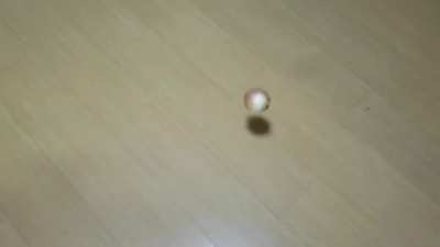 Onion