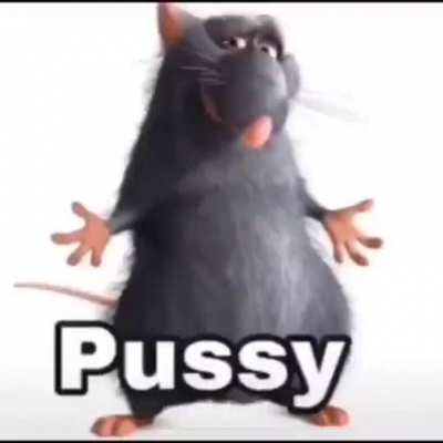 Pussy