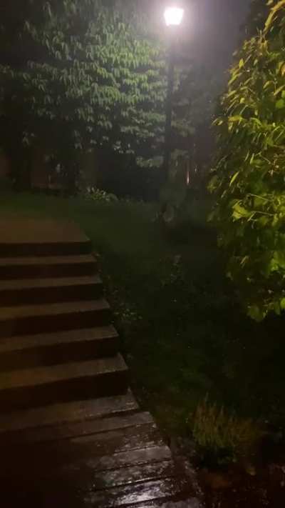 Late night storm in Arlington, Virginia.
