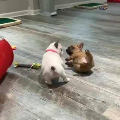 Hey! Get off of me