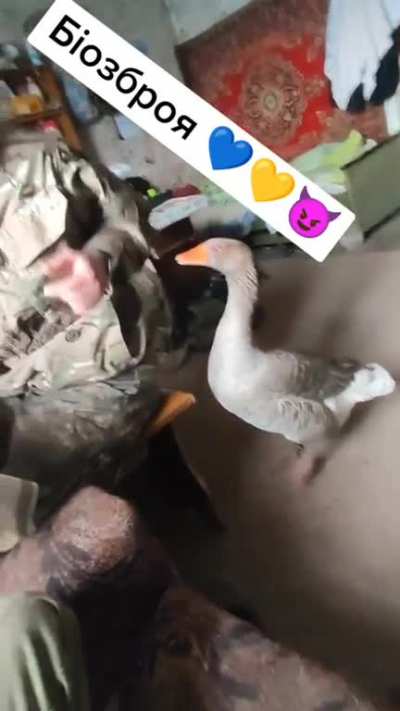 Sergeant goose makes sure that everyone knows he's in charge. The caption says "Bioweapons"