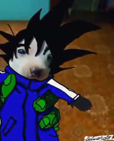 Dog