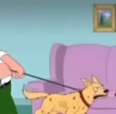 That&acirc;s not a dingo that&acirc;s bingo