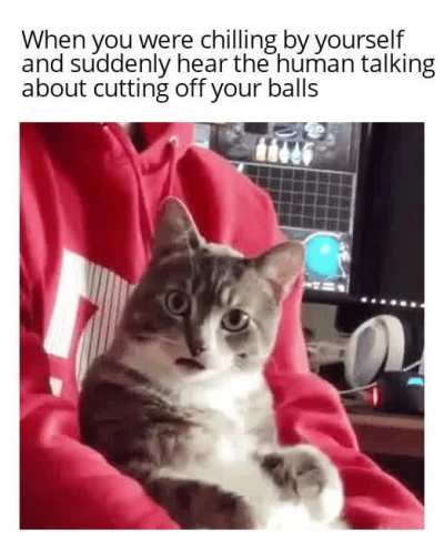 i trusted you human