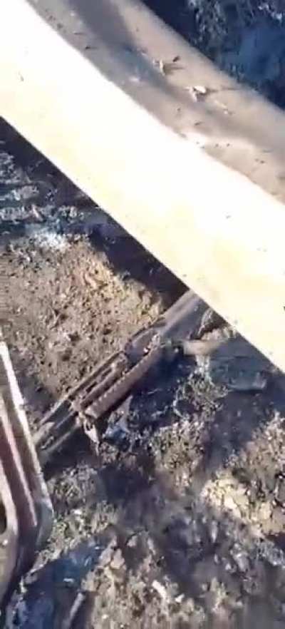 Warning NSFW. Burned russian soldiers near Kiyv.