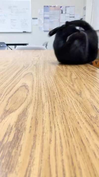 A Derpy Roll
