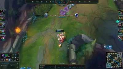 I had no idea you could do this to Warwick
