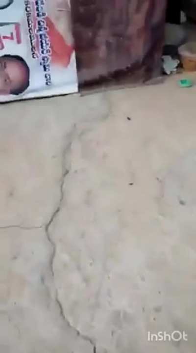 Helping others by giving food