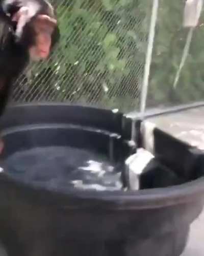 Cuando orson hace directo despu&eacute;s de una semana