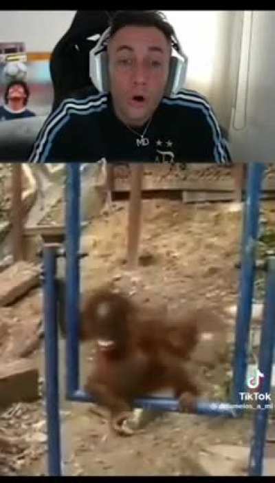 Momo? 