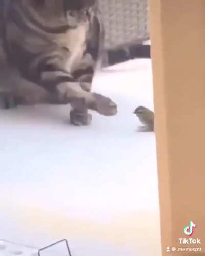 Quel beau langage qu&rsquo;est le ran&ccedil;ais