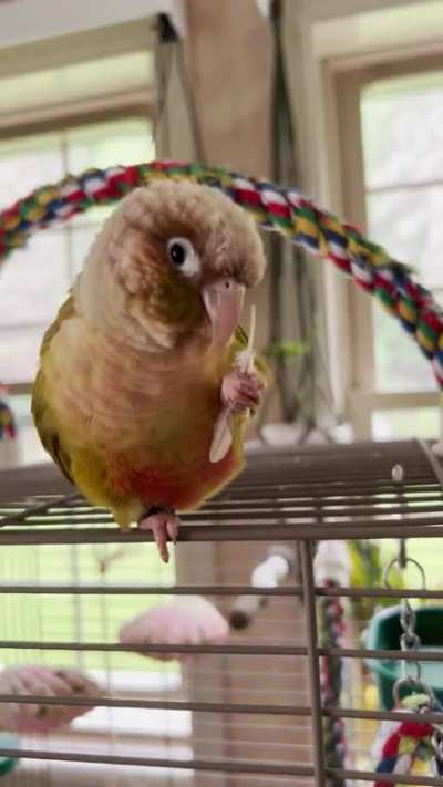 Weirdo makes her own hair picks