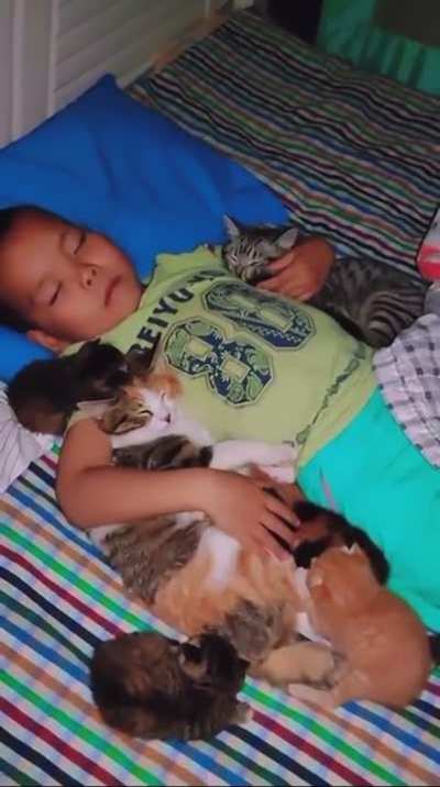 Shh, he&rsquo;s sleeping!