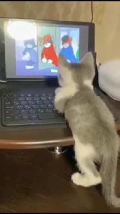Online class on "How to catch that damn mouse"
