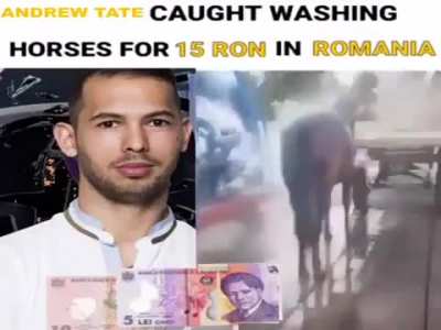 N-