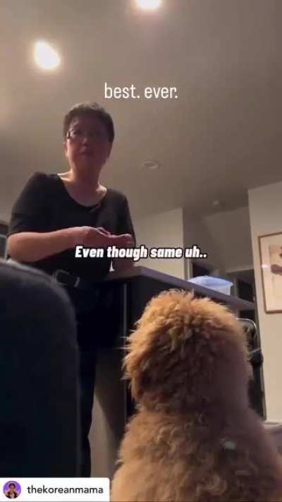 Coming out to a Korean mom