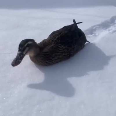 🔥 After all, snow is water!