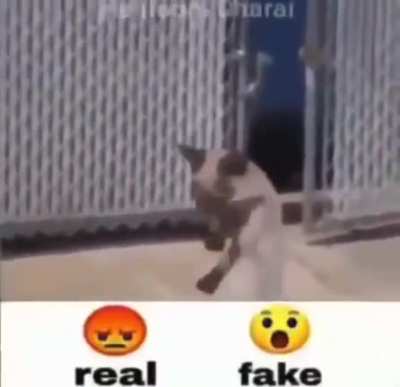 Haters will say it's fake