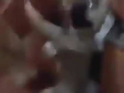 The real Spiderman