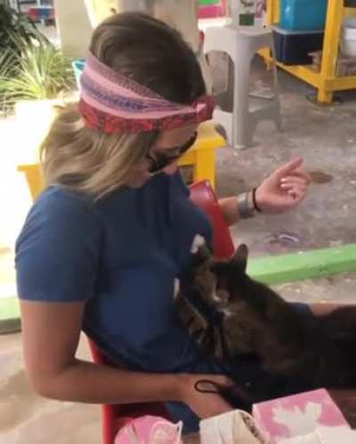 Touch Tha Booby