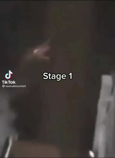 stage 1