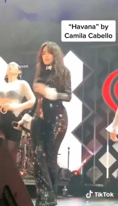 Camila Cabello has a perfect figure