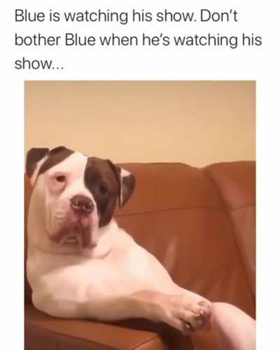 What you want?!?