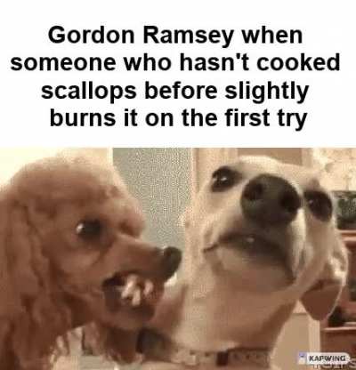 Fucking DONKEY