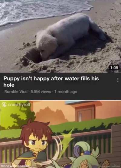 She even bullies puppy&rsquo;s!!!