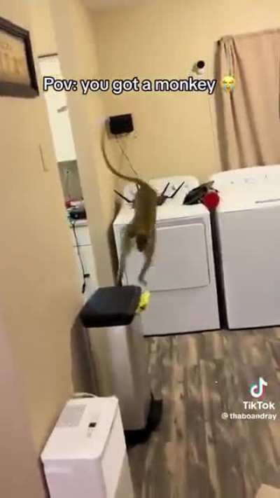 Little rascal!