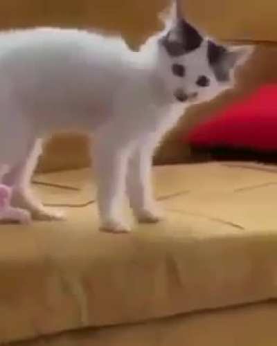 Au