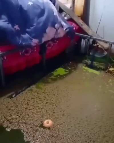 jhybeieucwiey