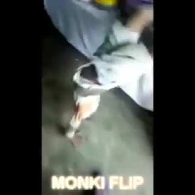 MONKI FLIP🤘